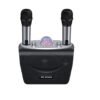 D19 High Resolution Wireless Speaker
