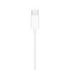 i763 Apple Original USB-C EarPods (used)