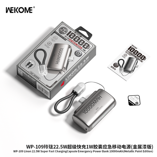 WP-109 Dual-head Charging Cable