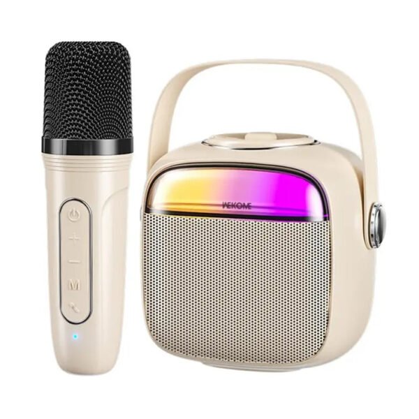 D43 Karaoke Machine for Adults Kids