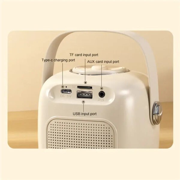 D43 Karaoke Machine for Adults Kids