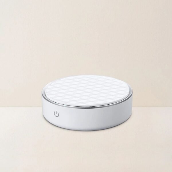 i1219 OZONE DEODORIZER
