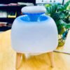 i981 Mosquito smart killer with night lamp